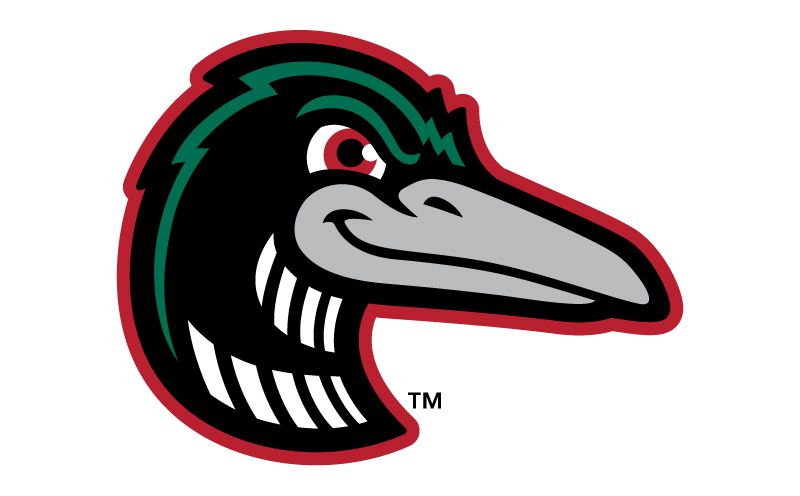 Great Lakes Loons